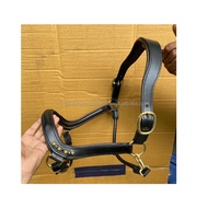 1&   Solid Brass Buckles Horse Halter English Style Anatomic Design Premium Quality Nylon Vegetable 