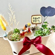 多肉組盆 多肉植物 日式 火影忍者 鳴人 NARUTO 漩渦鳴人 生日禮