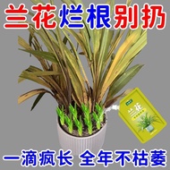 2.3 Readystock Readystock Root First Aid] Orchid Nutrient Solution Root Burst Agent Root Promotes Ro