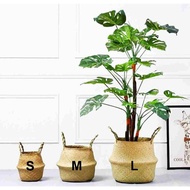 Rattan Vase / Bakul Rotan / Bakul Rotan / Pasu Pokok / Pasu Rotan