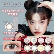 MOLAK 【彩色隱形眼鏡/日拋/有・無度數/10片裝】
