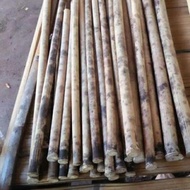 Update Bambu Tamiang Untuk Suling Sunda
