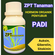 ZPT Zat Pengatur Tumbuh - Zpt Penambah Anakan Padi - Pupuk ZPT Organik Pelebat Padi - ZPT Untuk Padi