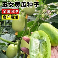 Mini Jade Girl Cucumber Seeds Thumb Golden Boy Fruit Cucumber Seeds Four Seasons Planting Balcony Co