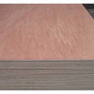 Multiplex 12mm Meranti 12mm Full Meranti Plywood/ Full Meranti/