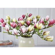 Fake Magnolia Flowers High Quality Rubber Material - Fake Flowers, Imported Goods - Home Decor, Living Room