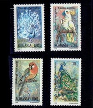 鳥類--羅馬尼亞郵票-1999年-異國情調鳥類-鸚鵡-孔雀-4全