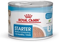皇家 - SHN 小型初生BB罐 (195gx12) | ROYAL CANIN 狗罐頭