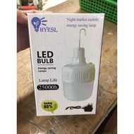 Solar LED BULB LIGHT