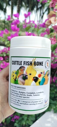 Cuttlefish bone powder 100% pure