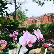 I-SHAN B&B美麗獨棟特色住宅，10-20人包棟方案。獨立衛浴、冷暖氣。交通便利