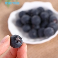 MXMIO Artificial Blueberry Blue High Quality Simulation Blueberry Fruit Model Photo Props Party Gard