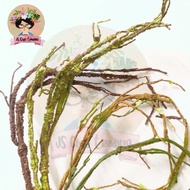 Ranting Kayu Akar Pokok Fake Tree Branch Rattan Artificial Indoor DIY Home Office School Artificial 