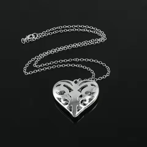 The Vampire Diaries Necklace Originals Family Caroline Forbes Filigree Heart Locket Real Vervain Fas