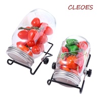 CLEOES Sprouter Fresh with Stand Wide Mouth Organic Mason Jars