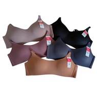 Elena Thin Foam Bra Without Wire E 22004 Size 34B-40B