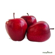 buah apel merah 1kg medium