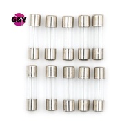 G&Y 10pcs Glass Tube Fuse 5mm x 20mm 1.6A T1.6A 250V Slow Blow 1.6Amps