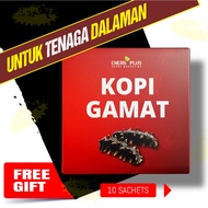 kopi gamat langkawi kopi gamat asli ektrak gamat laut