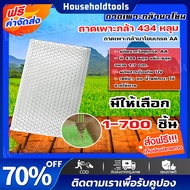 ถาดเพาะกล้านาโยน 434 หลุม มีให้เลือกซื้อ 1-700 ชิ้น ถาดนาโยน ถาดเพาะปลูก ถาดเพาะกล้า ถาดเพาะนาโยน เพ