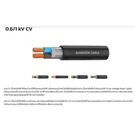 Changdee BCC สายไฟ CV 2x2.5 SQ.MM. 100ม. สีดำ สินค้าดีมีคุณภาพ!