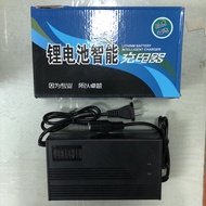 Electric Vehicle Charger Product Word Head 48V 52V 58.8V Input Voltage 110V