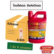 ไกโฟเซต 48% ไกลฯ ยกลัง 6แกลลอน (ยาดูดซึม) (ซิดนีย์) ขนาด 4 ลิตร กำจัดวัชพืชใบแคบ ใบกว้าง กก หญ้าหวา-
