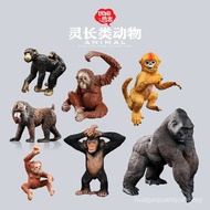 Plaything Shangzhi Simulation Monkey Model Private Simulation Animal Toy Gorilla Golden Monkey Kiwi 