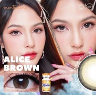 คอนแทคเลนส์🌈Alice🌈 Brown / Gray (Montra) ขนาดบิ๊กอาย💖