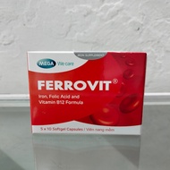 Ferovit Nano blood supplement pills supplement organic Iron, Folic Acid, reduce anemia