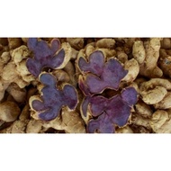 Minuman Coffee Halia Hitam - Coffee Brazil Arabica Halia Hitam