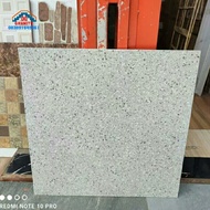 granit lantai 60x60 terazo tera white/infiniti
