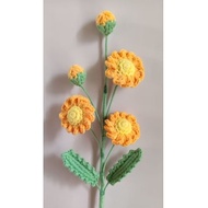 Wild Daysi Flower Crochet Wild Daysi Flower Crochet