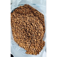 Biji Apricot Pahit Organik/Organic Raw Bitter Apricot Seed
