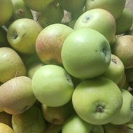 SGP buah Apel  manalagi/apel malang fress 1kg (18-22buah)
