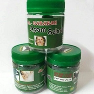 AYAM SELASIH AL BARAKAH || ORIGINAL FROM HQ