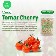 ( 10 Gram ) Benih Biji Tomat Cherry | Tomat Ceri | Solanum Lycopersicum
