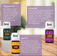 Essential Oil TRIO (Lavander Lemon Peppermint) Young Living 5ml and 15ml