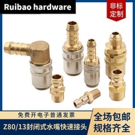 HASCO German Style Closed Type Mold Extended Nozzle Z81/9 Open Type Copper Nozzle Z801/13 Intubation