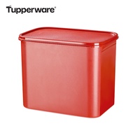 Tupperware | Marinating Food Grade Storage Box 14.7L