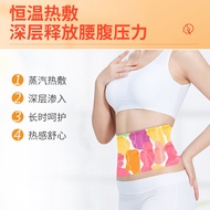 Wanxi Pharmacy Moxa Warm Waist Warmer Wormwood Self-Heating Steam Waist Abdomen Patch Moxibustion Wa