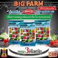 แพ็ค 3 กิโลกรัม WESCO ปุ๋ย 21-21-21 +TE(ธาตุรองเสริม) ปุ๋ยเกล็ด เวสโก้ เพิ่มความสมบูรณ์ของลำต้น ใบ ด