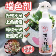 Succulent plant color enhancer, color solution, dilution Succulent plant Coloring Agent Coloring Liquid dilution-Free Succulent Nutrient Liquid Control Affectionate Growth Growth Succulent Growth Growth Growth Coloring Liquid