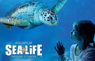 [E-Voucher] บัตรเข้าชมซีไลฟ์ แบงคอก Sea Life Bangkok หมดเขต30/11/24