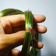 SENAR MAMBO - SENAR PANCING - SENAR LAYANGAN - SENAR UREK BELUT