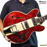 กีตาร์ไฟฟ้า Matrixss - JZ Limited