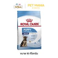 Royal Canin Maxi Puppy 10 Kg อาหารสุนัขสำหรับลูกสุนัขพันธุ์ใหญ่อายุ 2 – 15 เดือน ขนาด 10 กิโลกรัม