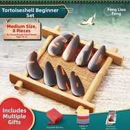 NUOXUNDE | Beginner Friendly Performance and Grade Exam Guzheng Picks