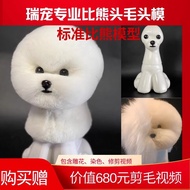 Rui Chong Binatang Palsu Model Kepala Bichon Rangka Penggayaan Kepala Bichon Anjing Palsu Amalan Anj
