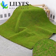 LILYES Fake Moss Grass Turf, DIY Eternal Life Artificial Moss Carpet, Photography Props Lifelike No 
